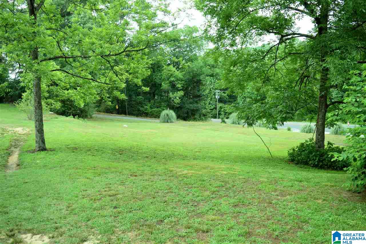 56411 Highway 231 Oneonta, AL 35121 - Photo 33 of 50