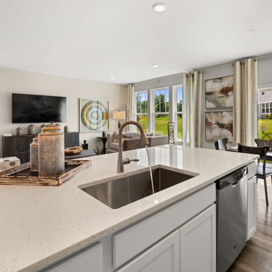 10232 McMahon Way Huntley, IL 60142 - Photo 6 of 46 a close view of sink and tap