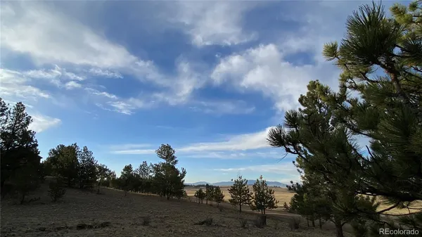 $48,000 | 415 Olympic Circle, Hartsel, CO 80449