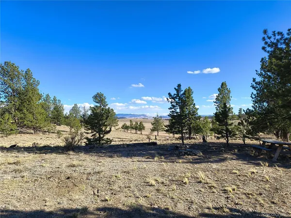 $48,000 | 415 Olympic Circle, Hartsel, CO 80449