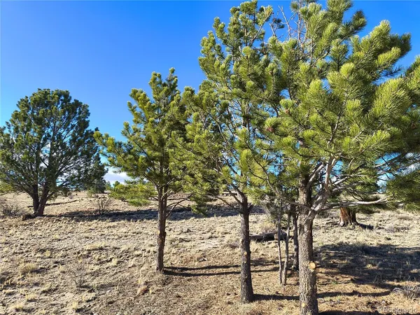 $48,000 | 415 Olympic Circle, Hartsel, CO 80449