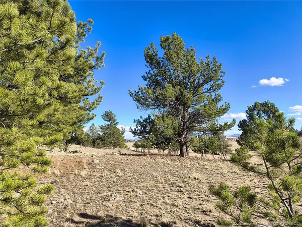 $48,000 | 415 Olympic Circle, Hartsel, CO 80449