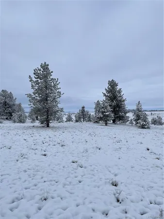 $48,000 | 415 Olympic Circle, Hartsel, CO 80449