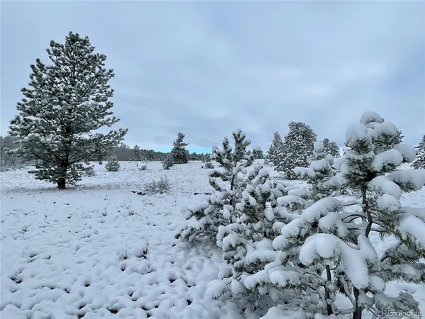 $48,000 | 415 Olympic Circle, Hartsel, CO 80449
