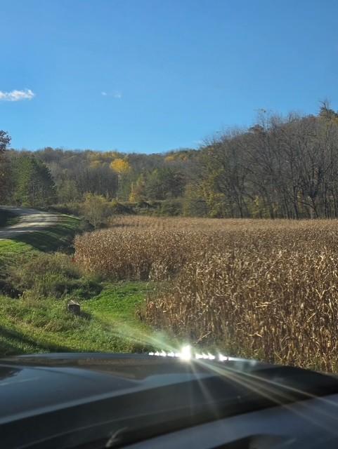 32107 County 45 Boulevard Red Wing, MN 55066 - Photo 2 of 10