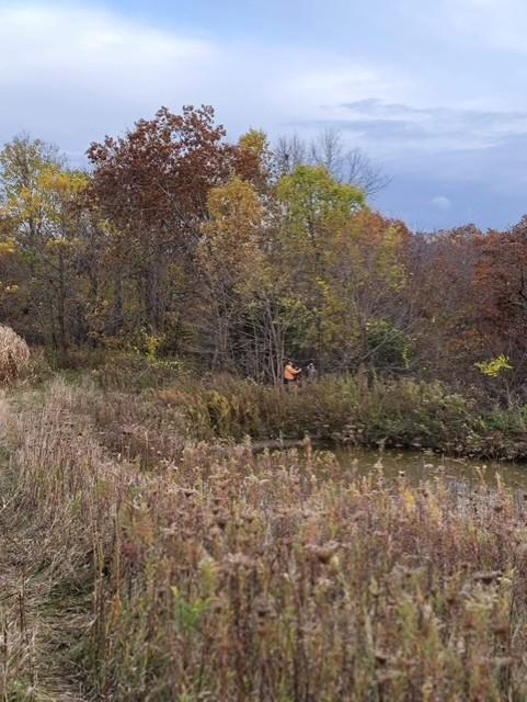 32107 County 45 Boulevard Red Wing, MN 55066 - Photo 4 of 10