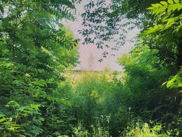 45 County 45 Boulevard Red Wing, MN 55066 - Photo 5 of 11