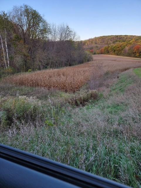 32107 County 45 Boulevard Red Wing, MN 55066 - Photo 5 of 10