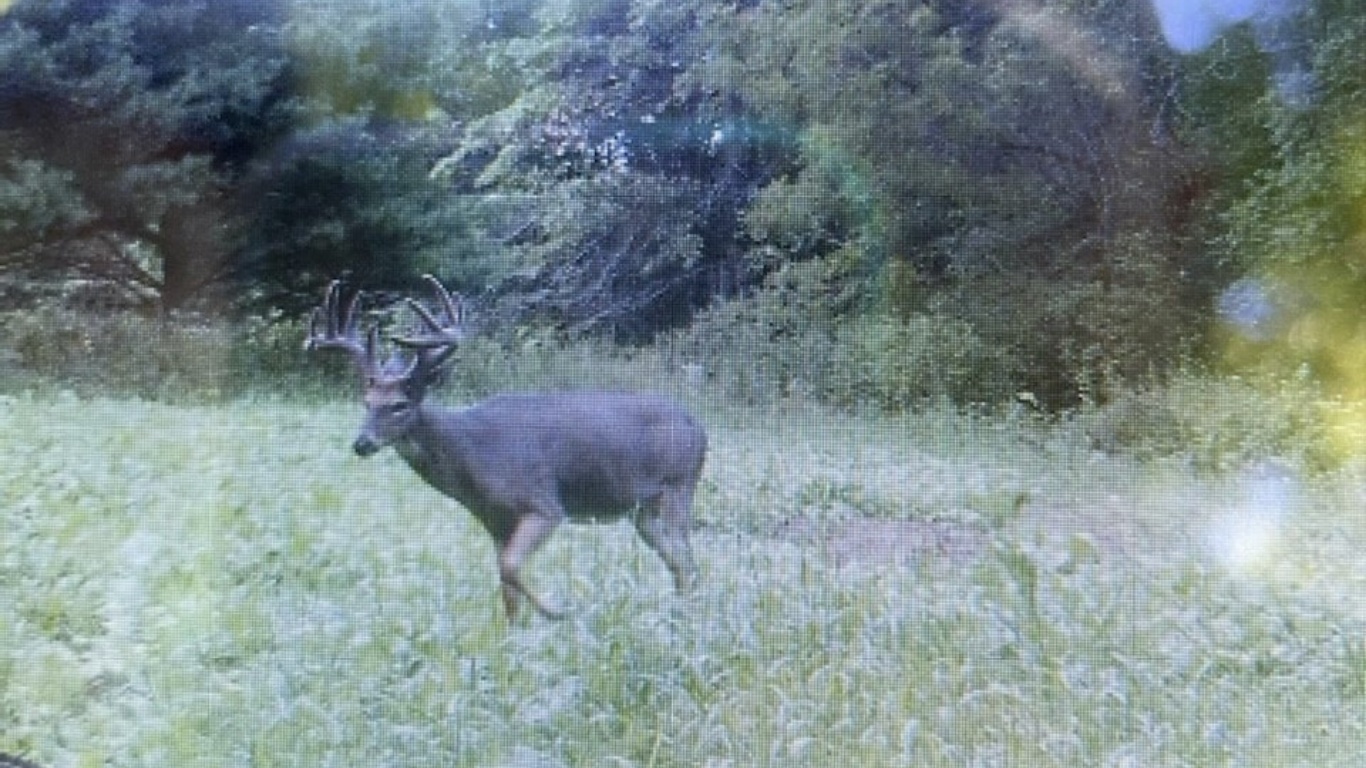 32107 County 45 Boulevard Red Wing, MN 55066 - Photo 7 of 10