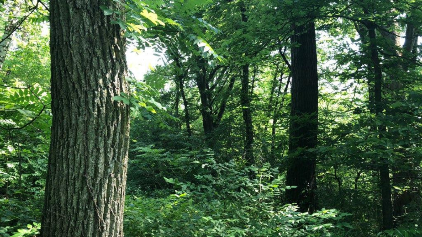 32107 County 45 Boulevard Red Wing, MN 55066 - Photo 8 of 10