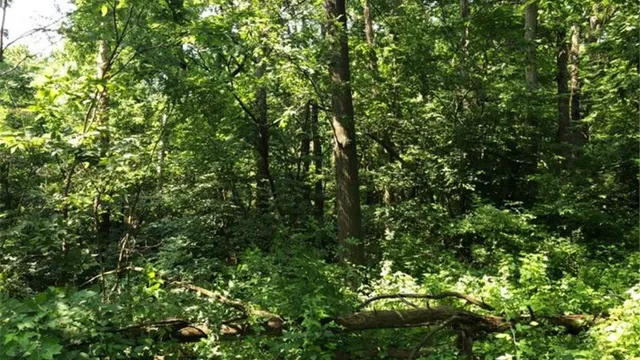 $575,000 | 45 County 45 Boulevard, Red Wing, MN 55066