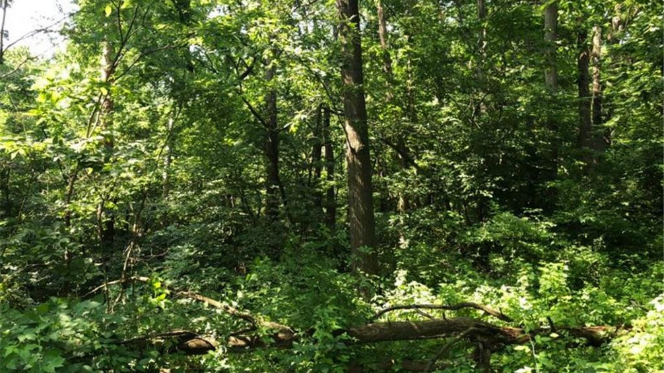 32107 County 45 Boulevard Red Wing, MN 55066 - Photo 9 of 10