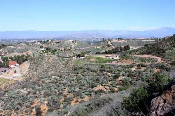an aerial view of a town with couple of large trees