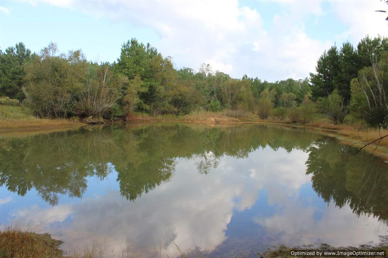 1000 South Harmony Road Crystal Springs, MS 39059 - Photo 1 of 13 Photo 1