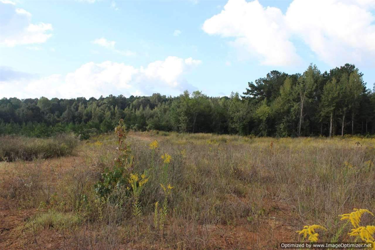 1000 South Harmony Road Crystal Springs, MS 39059 - Photo 12 of 13 Photo 12