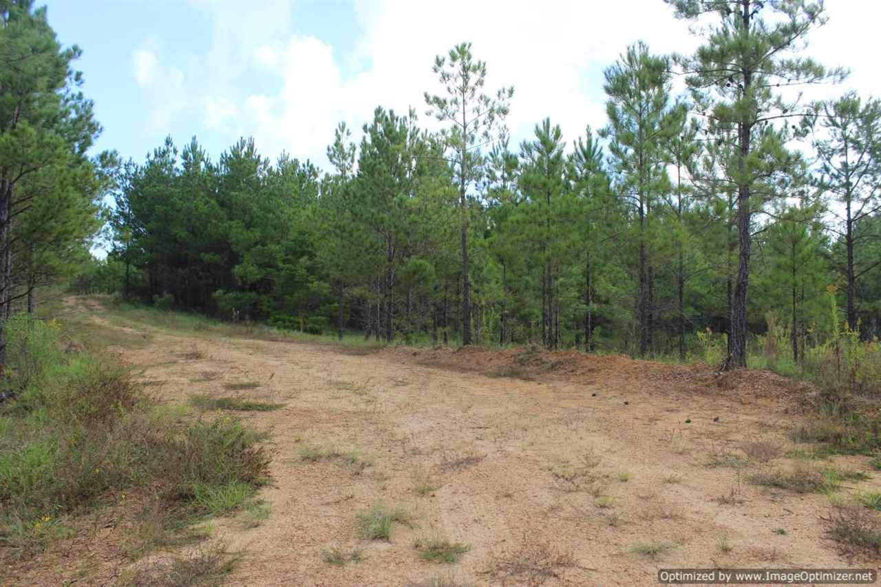 1000 South Harmony Road Crystal Springs, MS 39059 - Photo 4 of 13 Photo 4