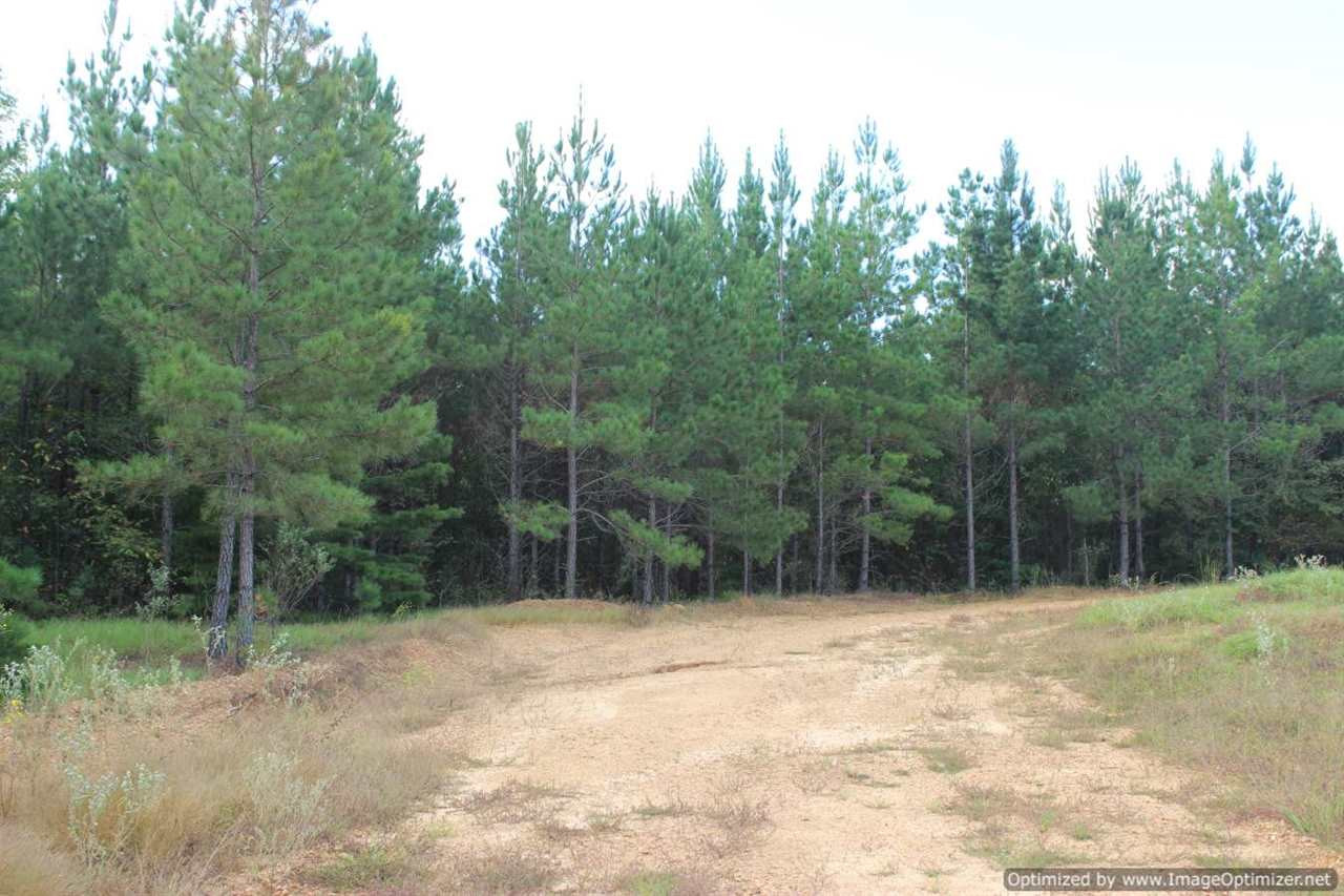 1000 South Harmony Road Crystal Springs, MS 39059 - Photo 5 of 13 Photo 5