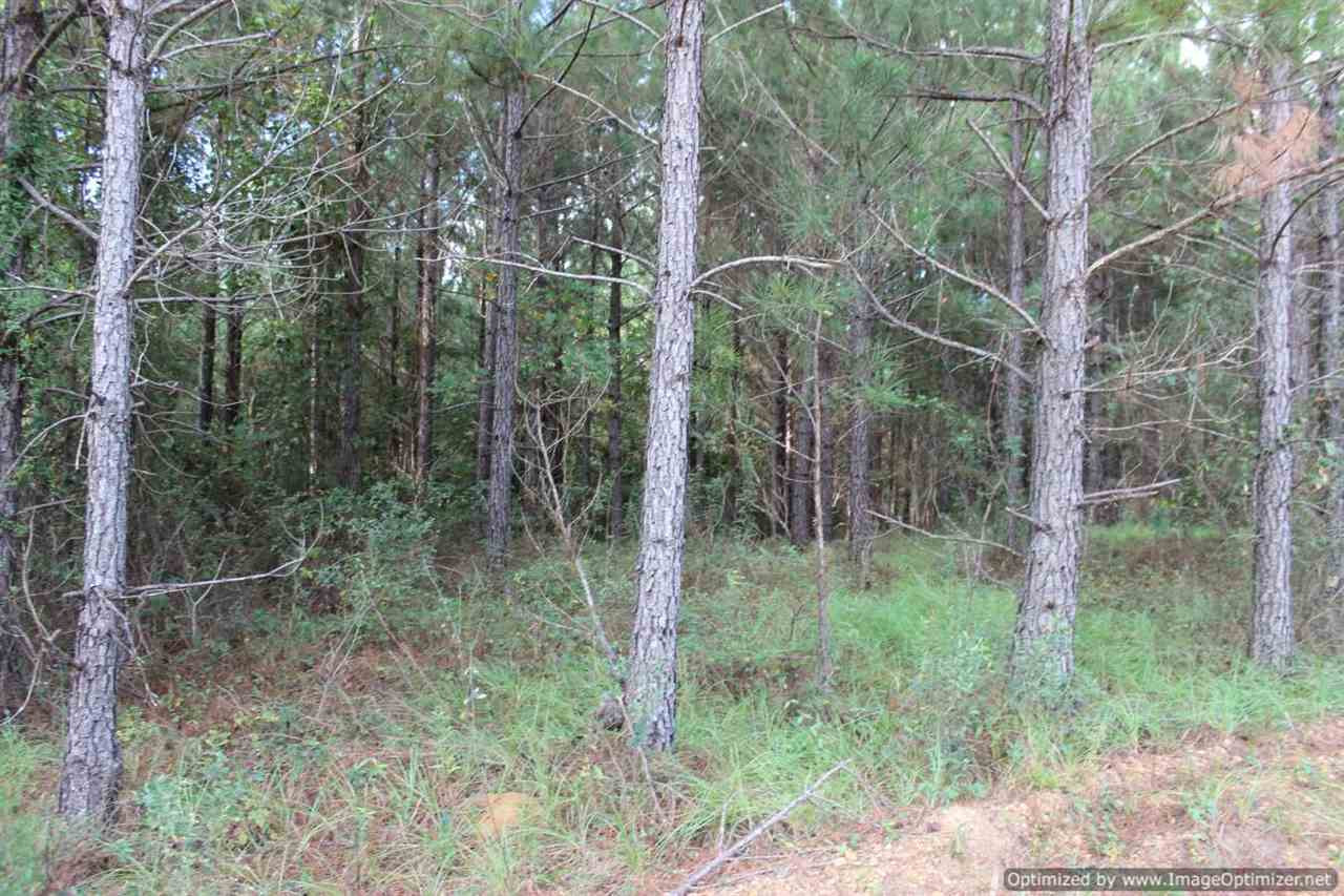 1000 South Harmony Road Crystal Springs, MS 39059 - Photo 6 of 13 Photo 6