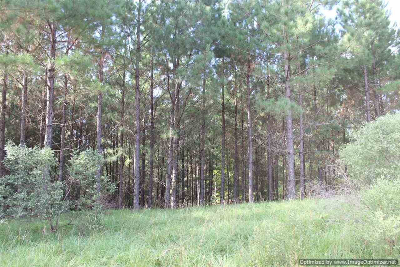 1000 South Harmony Road Crystal Springs, MS 39059 - Photo 7 of 13 Photo 7