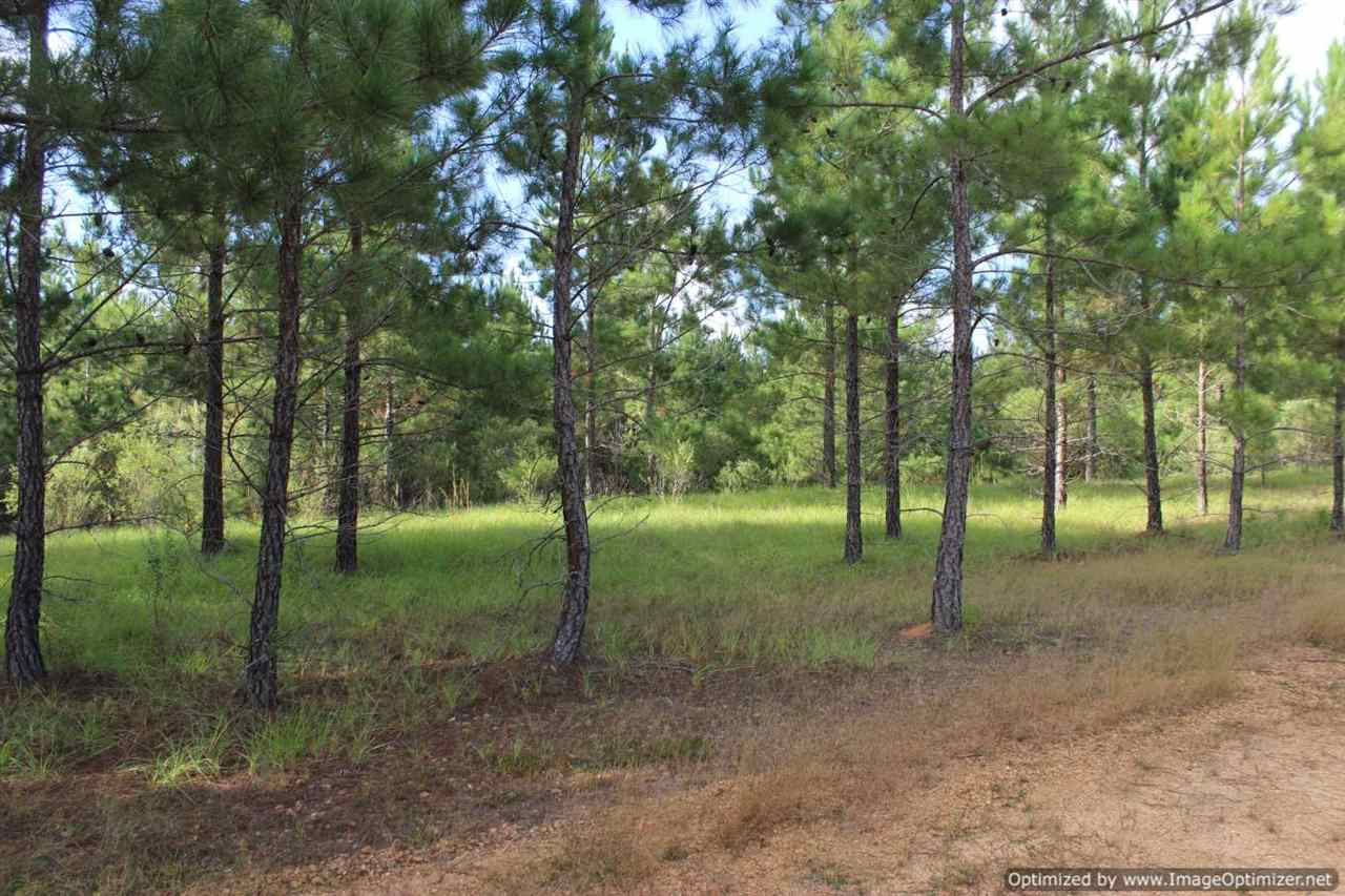 1000 South Harmony Road Crystal Springs, MS 39059 - Photo 8 of 13 Photo 8