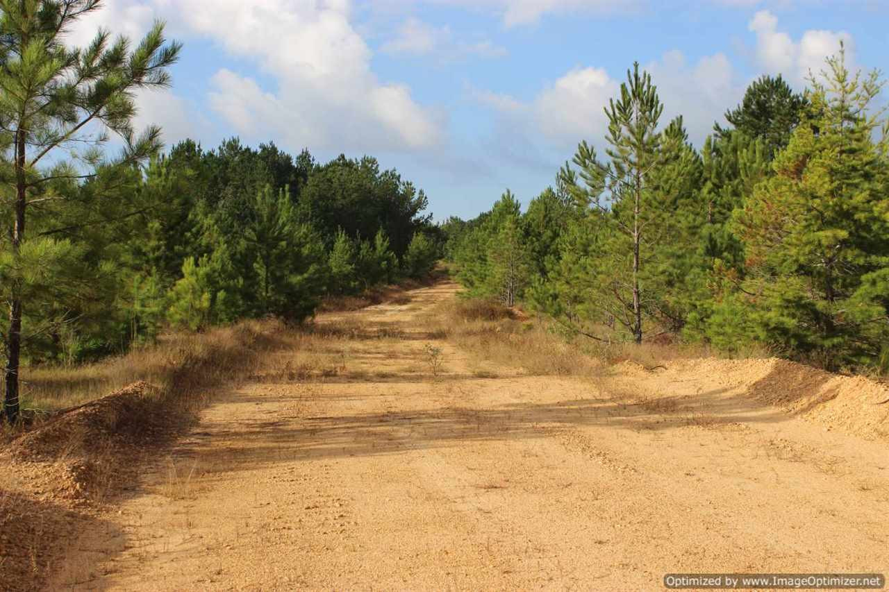 1000 South Harmony Road Crystal Springs, MS 39059 - Photo 9 of 13 Photo 9