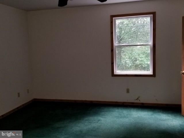 201 Alloway Friesburg Road Alloway, NJ 08001 - Photo 9 of 12