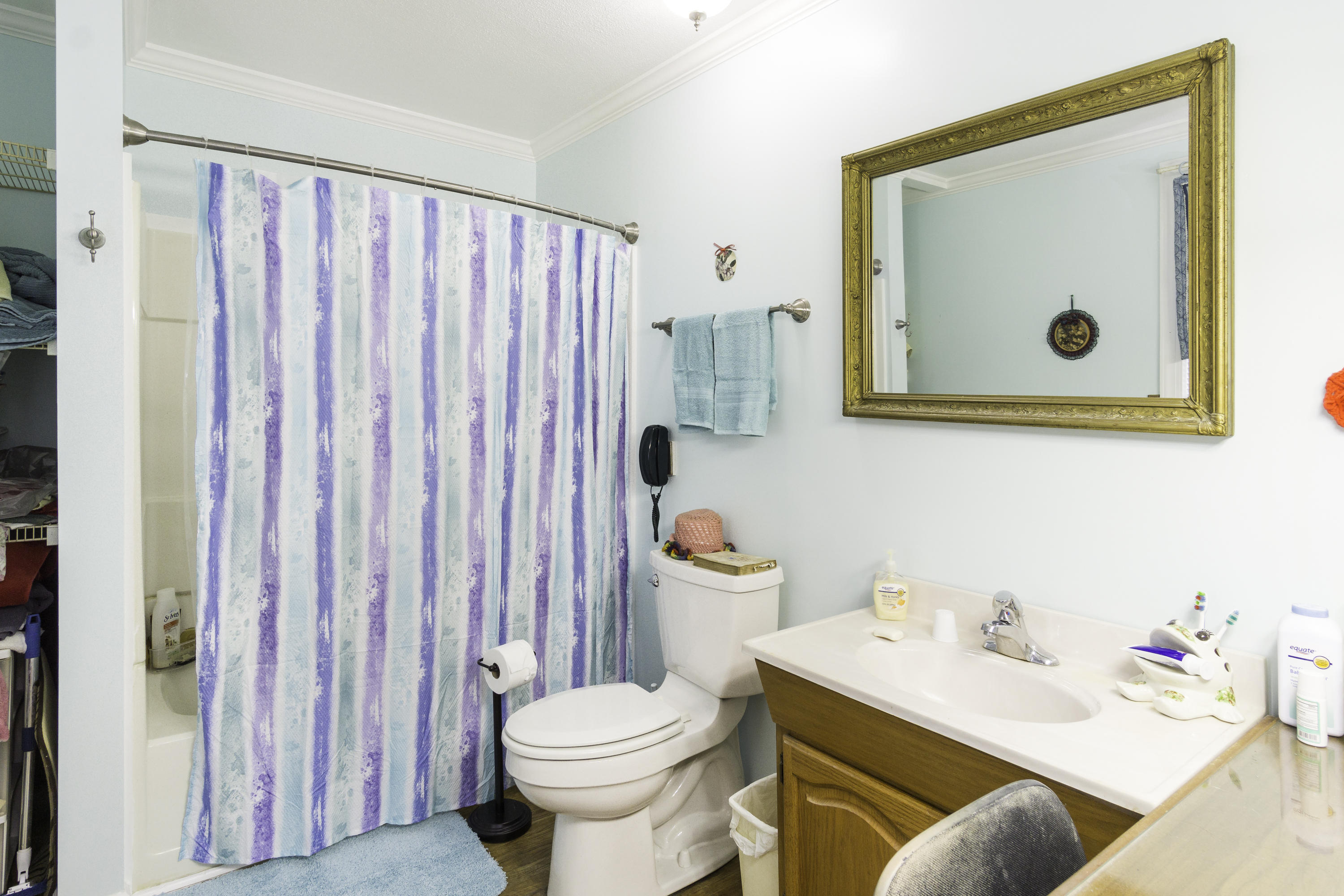 816 Dills Bluff Road Charleston, SC 29412 - Photo 19 of 39 Master Bath