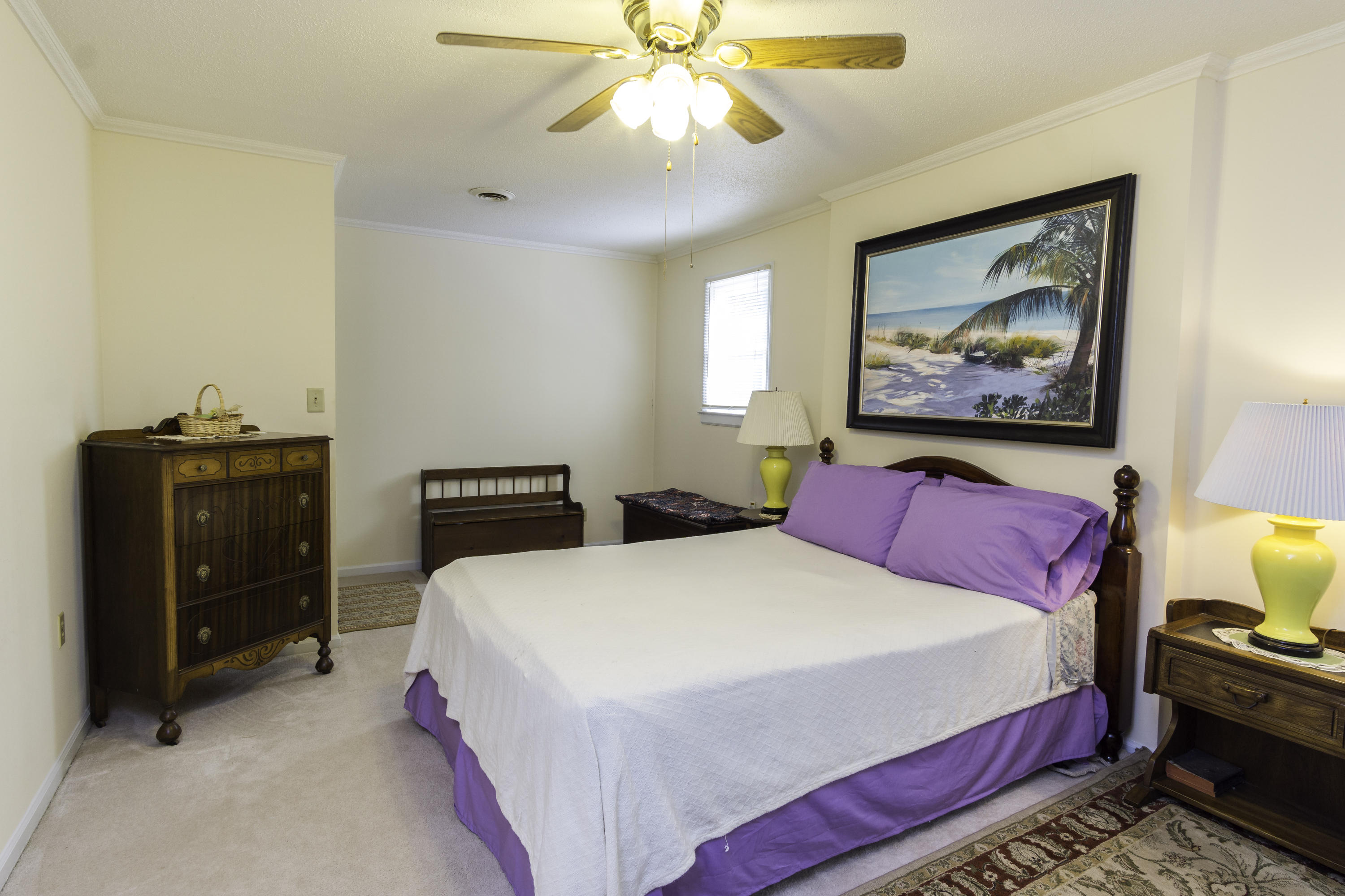 816 Dills Bluff Road Charleston, SC 29412 - Photo 21 of 39 2nd Bedroom