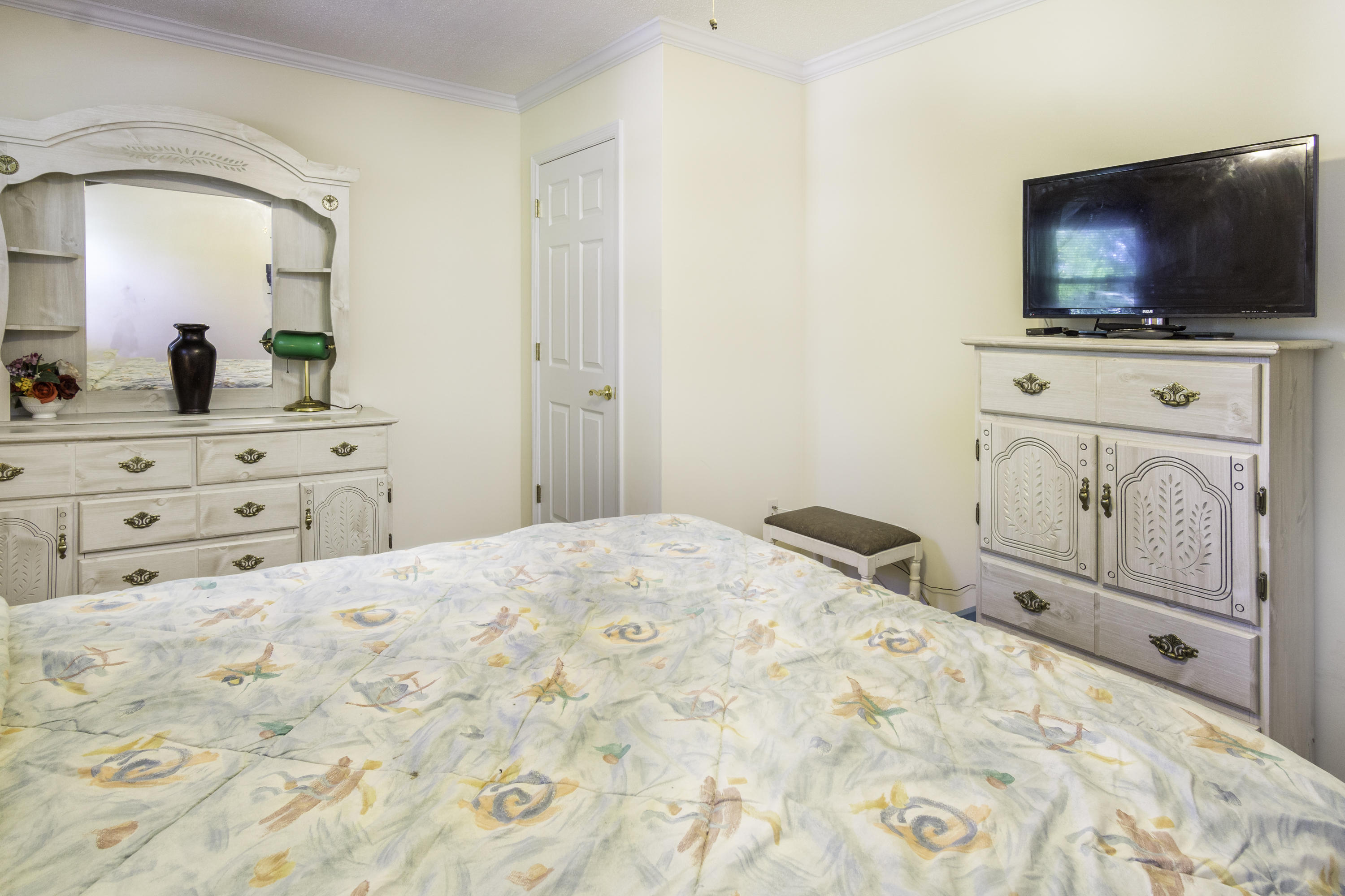 816 Dills Bluff Road Charleston, SC 29412 - Photo 25 of 39 3rd Bedroom