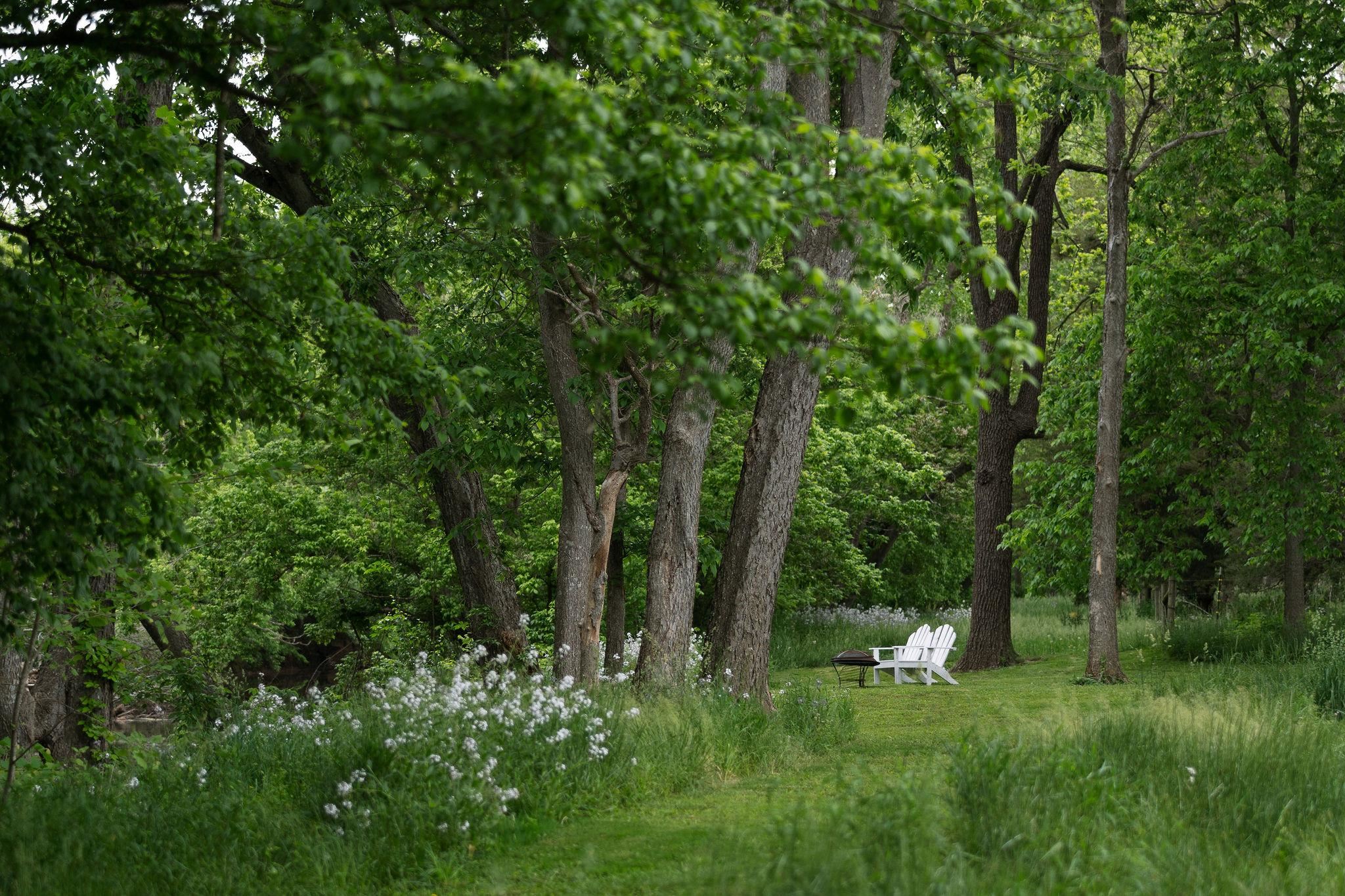 216 Lee Roy Road Grottoes, VA 24441 - Photo 56 of 64 a view of backyard with green space