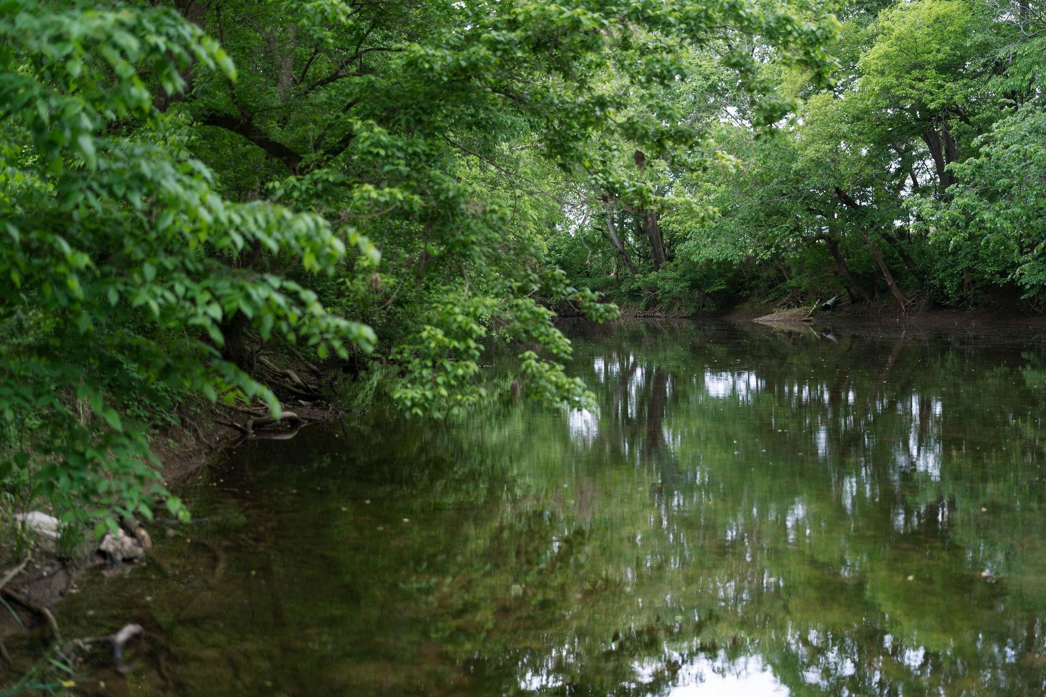 216 Lee Roy Road Grottoes, VA 24441 - Photo 61 of 64 a view of a lake