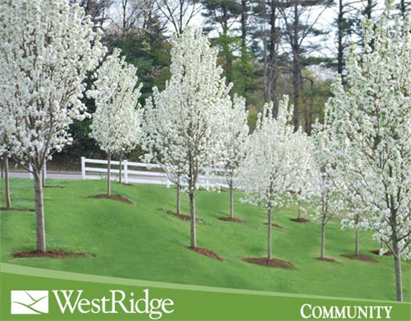 28 Stevens Road, Unit LOT 38 Hudson, MA 01749 - Photo 8 of 8 Gallery Image 8