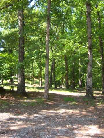 140 Pleasant Grove Road Pickens, SC 29671 - Photo 1 of 6