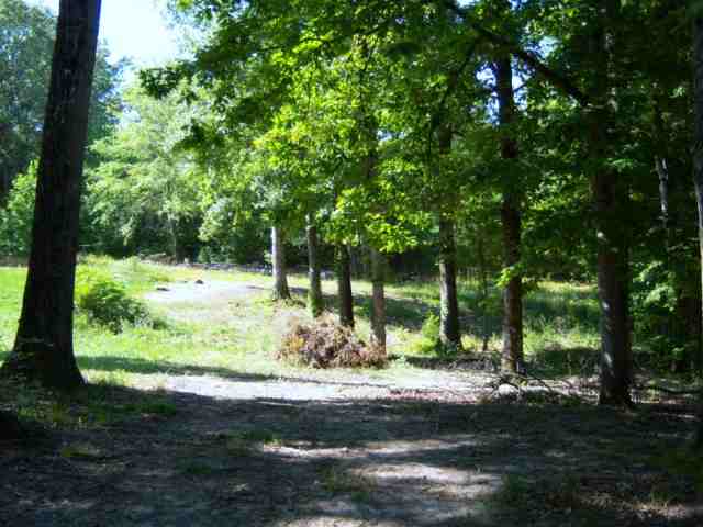 140 Pleasant Grove Road Pickens, SC 29671 - Photo 3 of 6