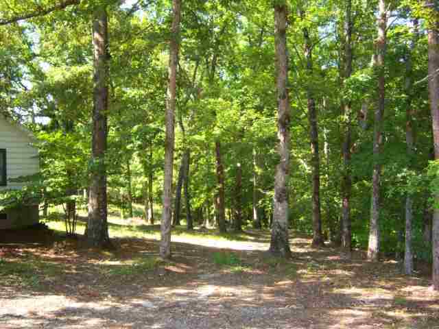 140 Pleasant Grove Road Pickens, SC 29671 - Photo 4 of 6