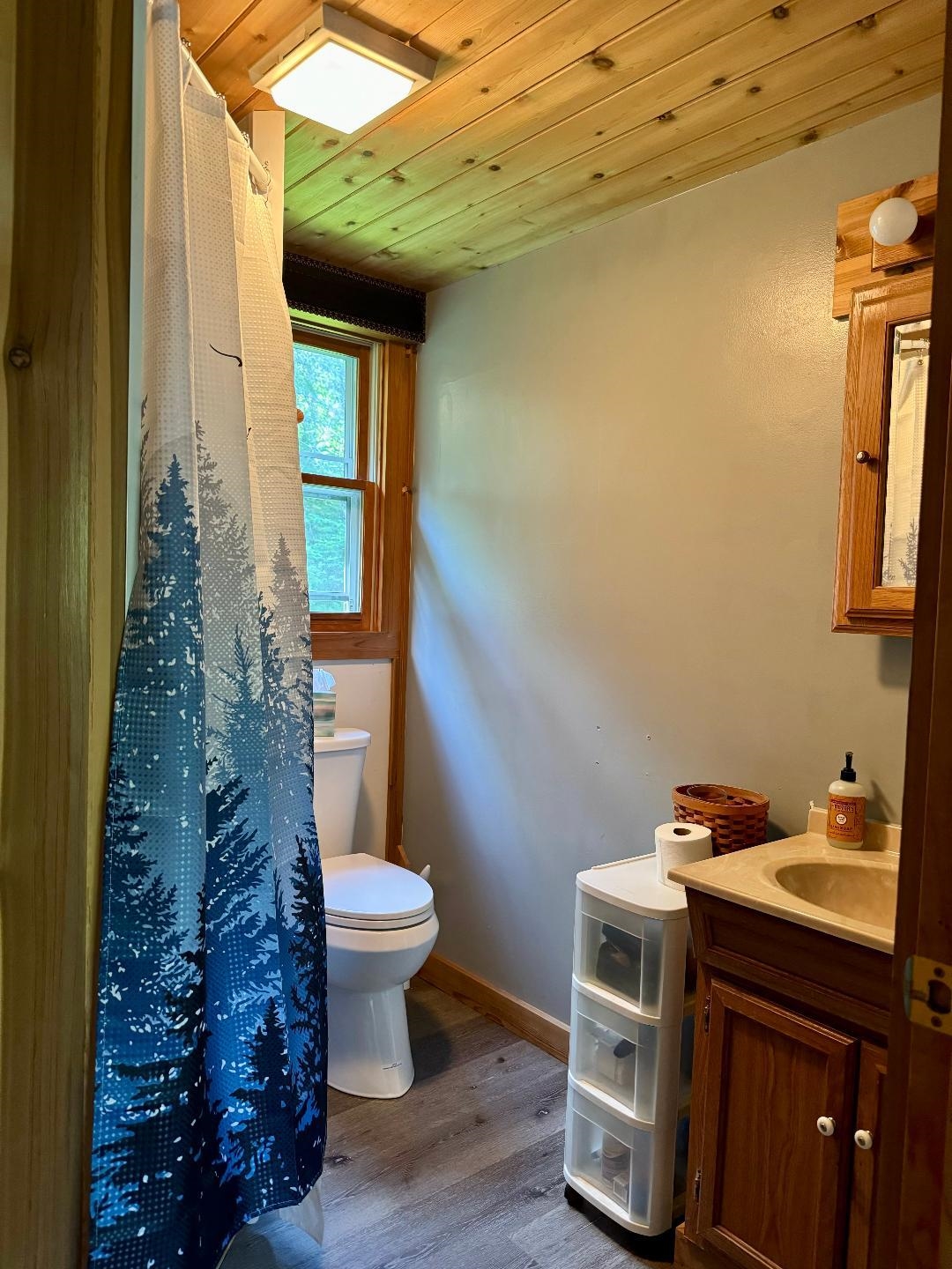 637 Back Lake Road Pittsburg, NH 03592 - Photo 17 of 40