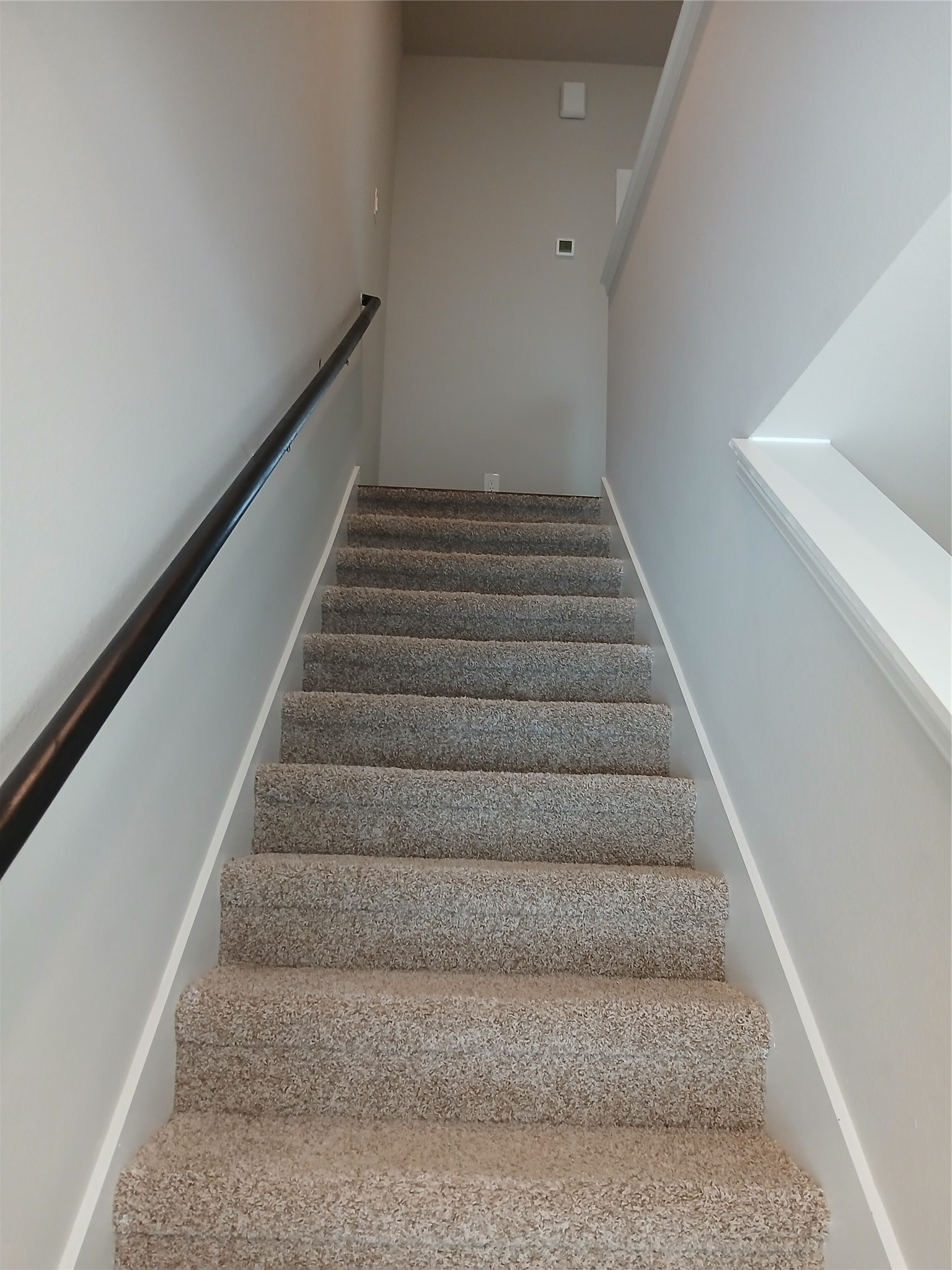 6422 Calhoun Road Houston, TX 77021 - Photo 5 of 10