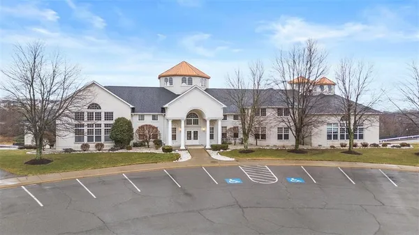 a view of garden with trees