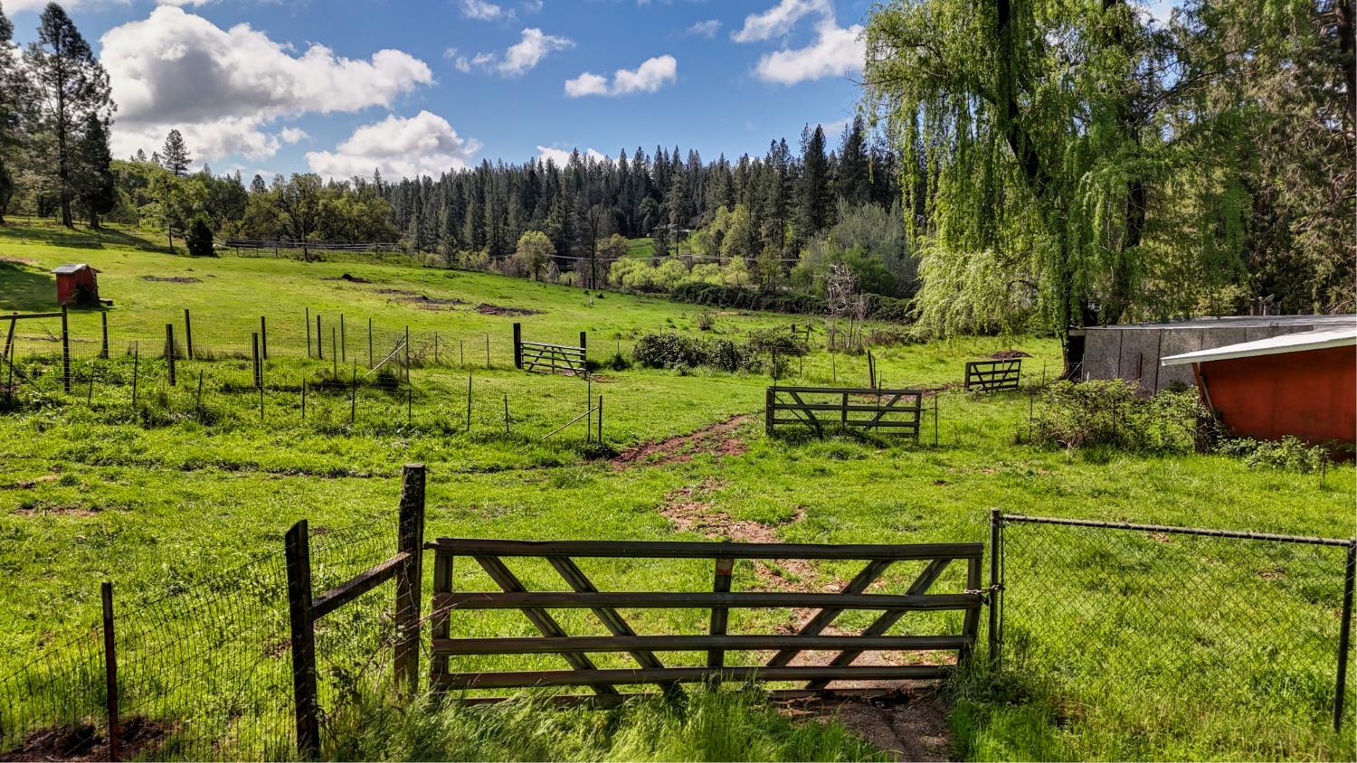 4541 Meadowbrook Road Garden Valley, CA 95633 - Photo 13 of 71 view of yard with a view of rural / pastoral area and a wooded view