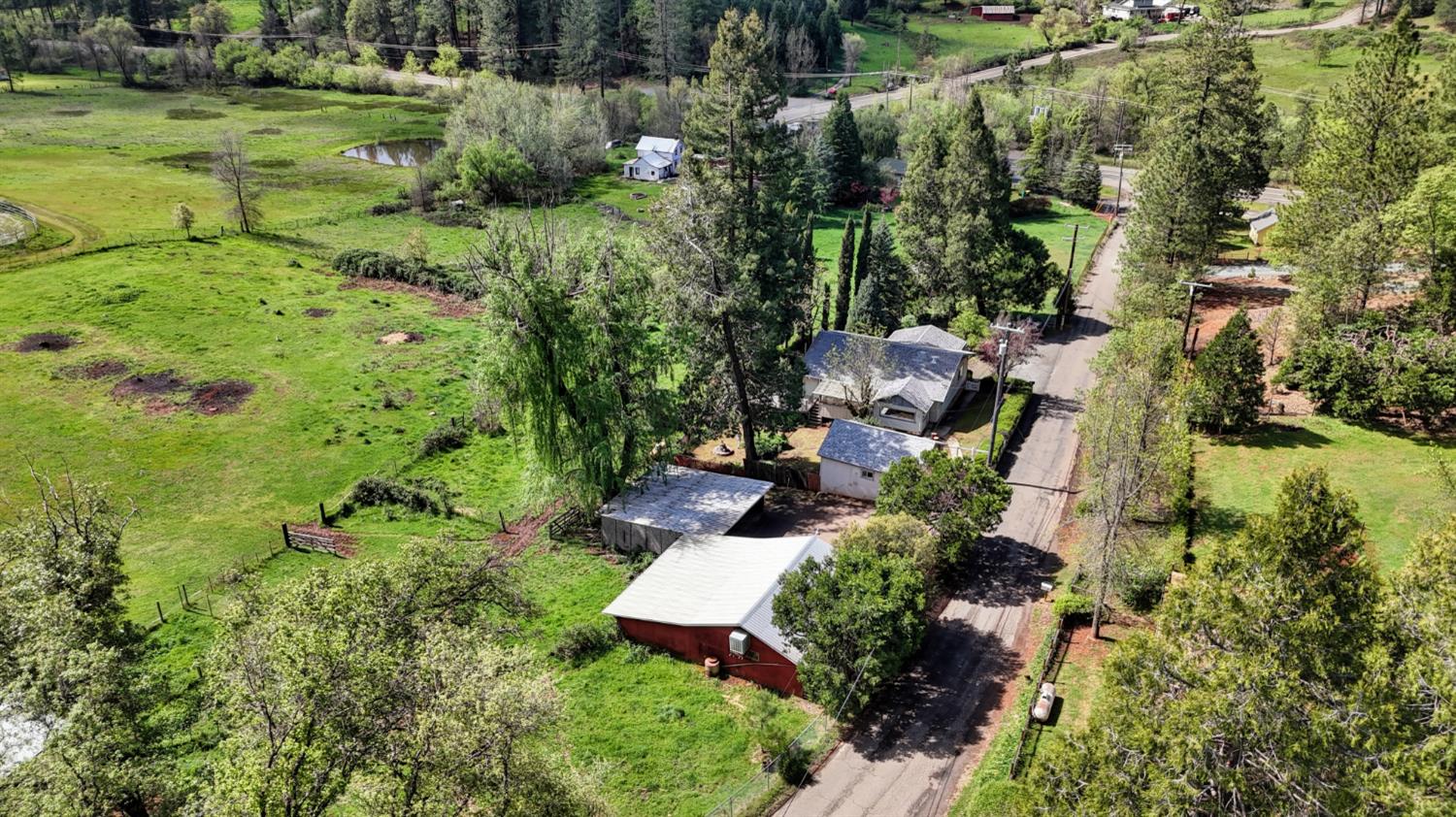 4541 Meadowbrook Road Garden Valley, CA 95633 - Photo 14 of 71 view of rural area featuring a nearby body of water and a tree filled landscape