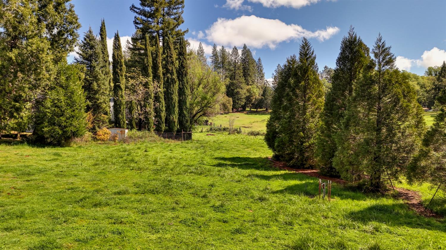 4541 Meadowbrook Road Garden Valley, CA 95633 - Photo 15 of 71 view of grassy yard