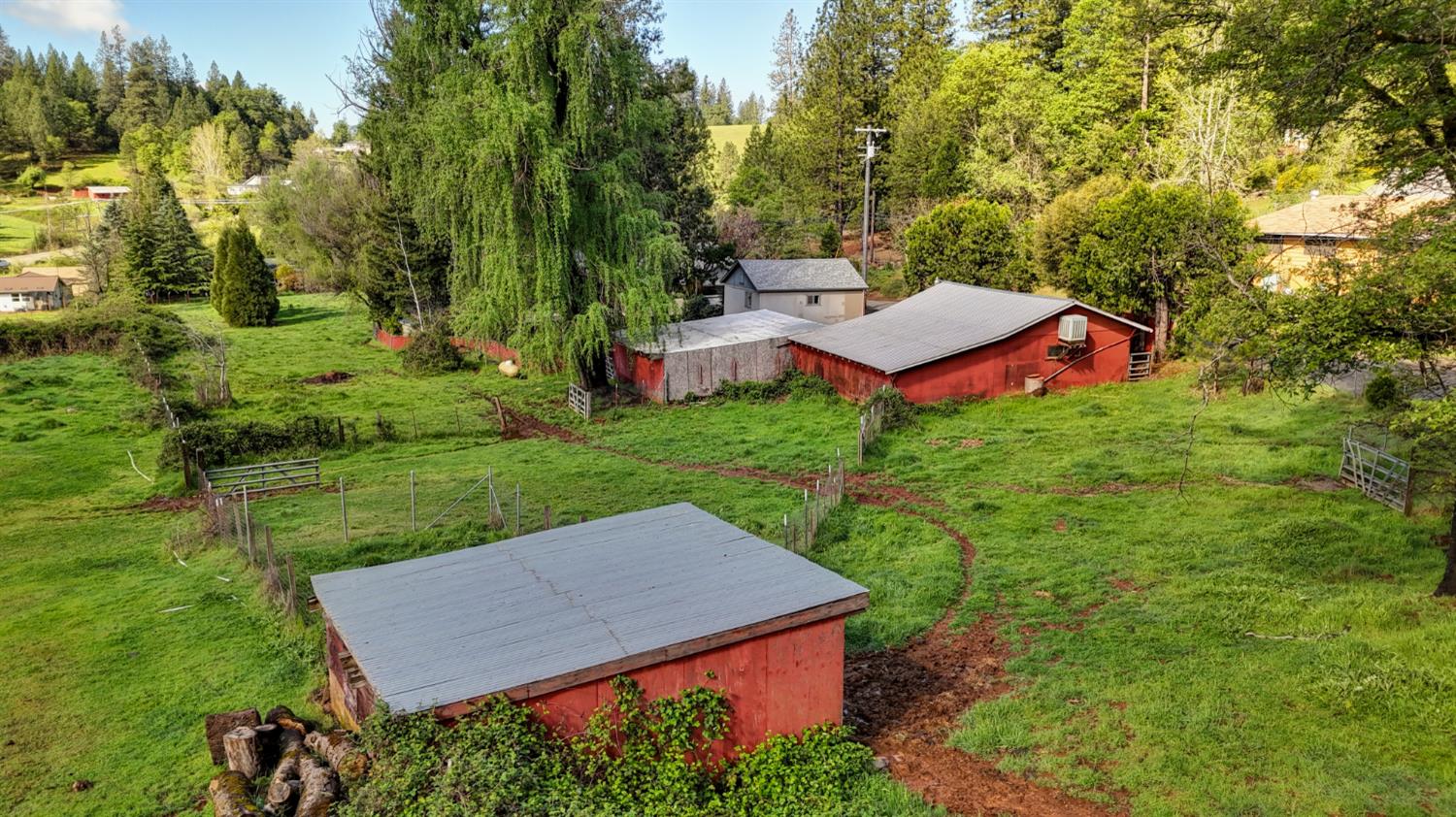 4541 Meadowbrook Road Garden Valley, CA 95633 - Photo 2 of 71 view of yard featuring an outbuilding, a pole building, and view of wooded area