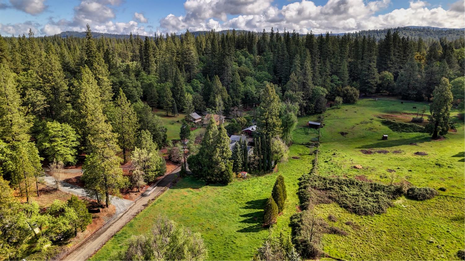4541 Meadowbrook Road Garden Valley, CA 95633 - Photo 54 of 71 aerial view of sparsely populated area with a forest