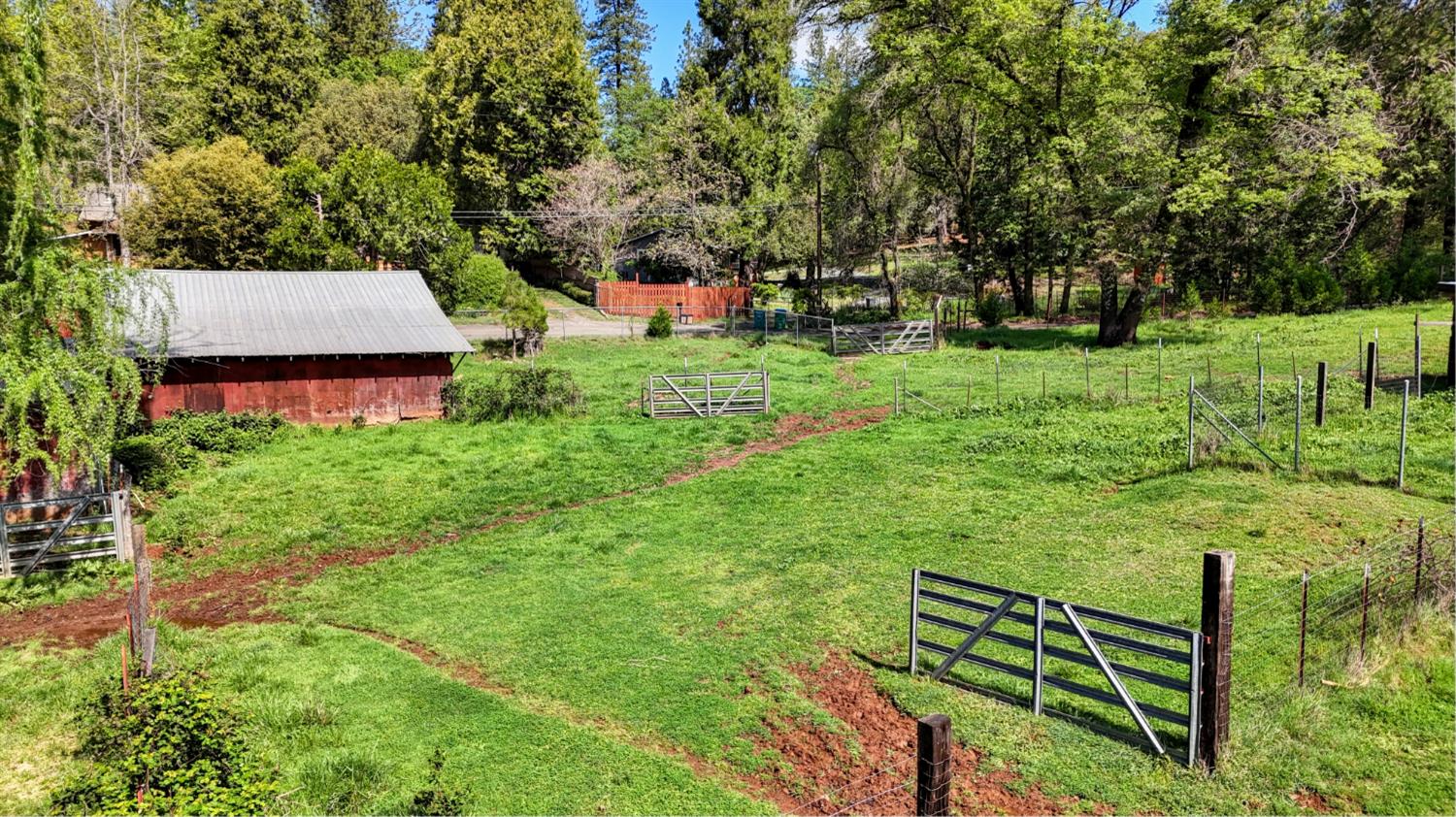 4541 Meadowbrook Road Garden Valley, CA 95633 - Photo 7 of 71 view of yard with view of scattered trees and an outdoor structure