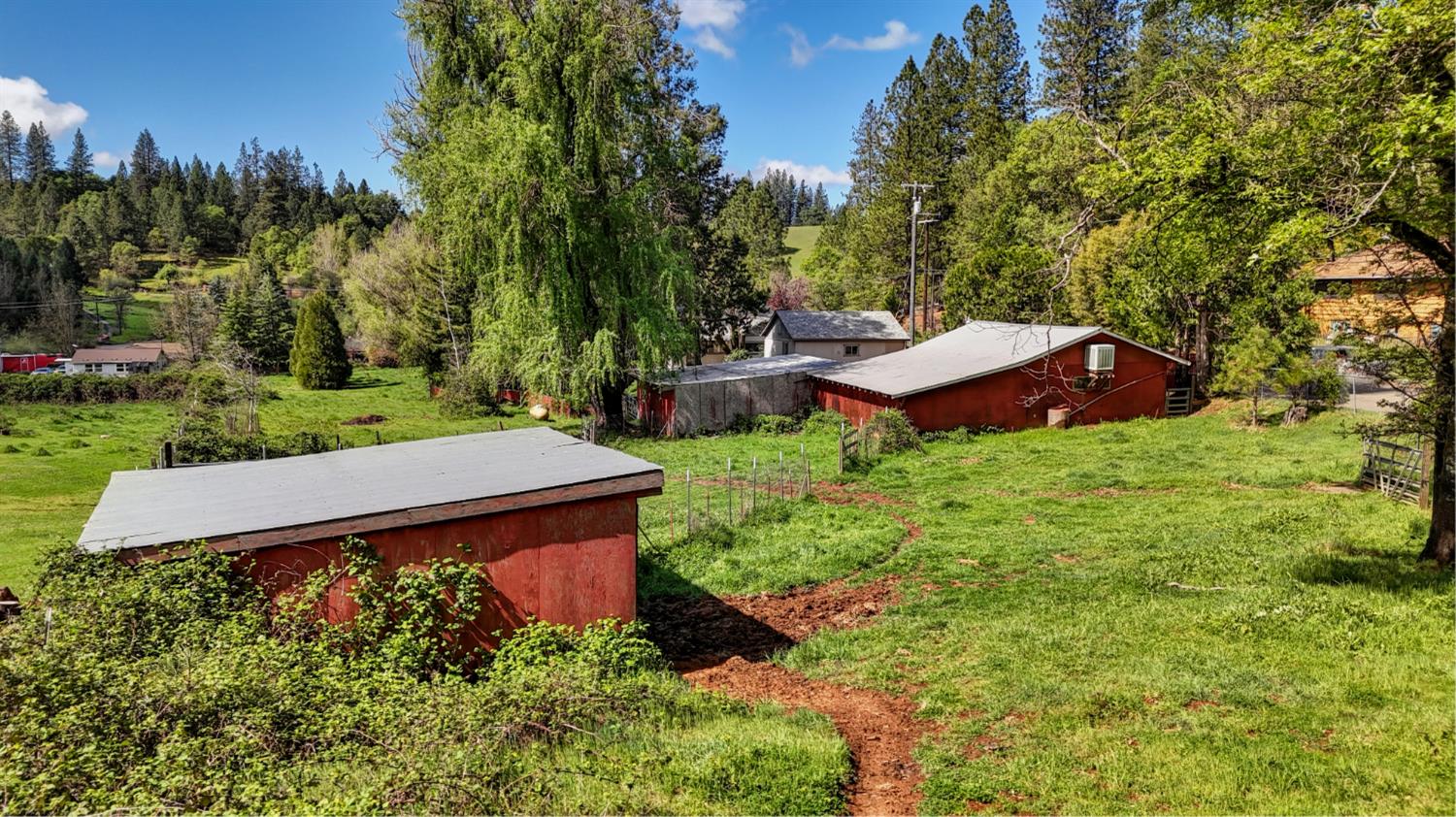 4541 Meadowbrook Road Garden Valley, CA 95633 - Photo 9 of 71 view of yard with an outbuilding and view of wooded area