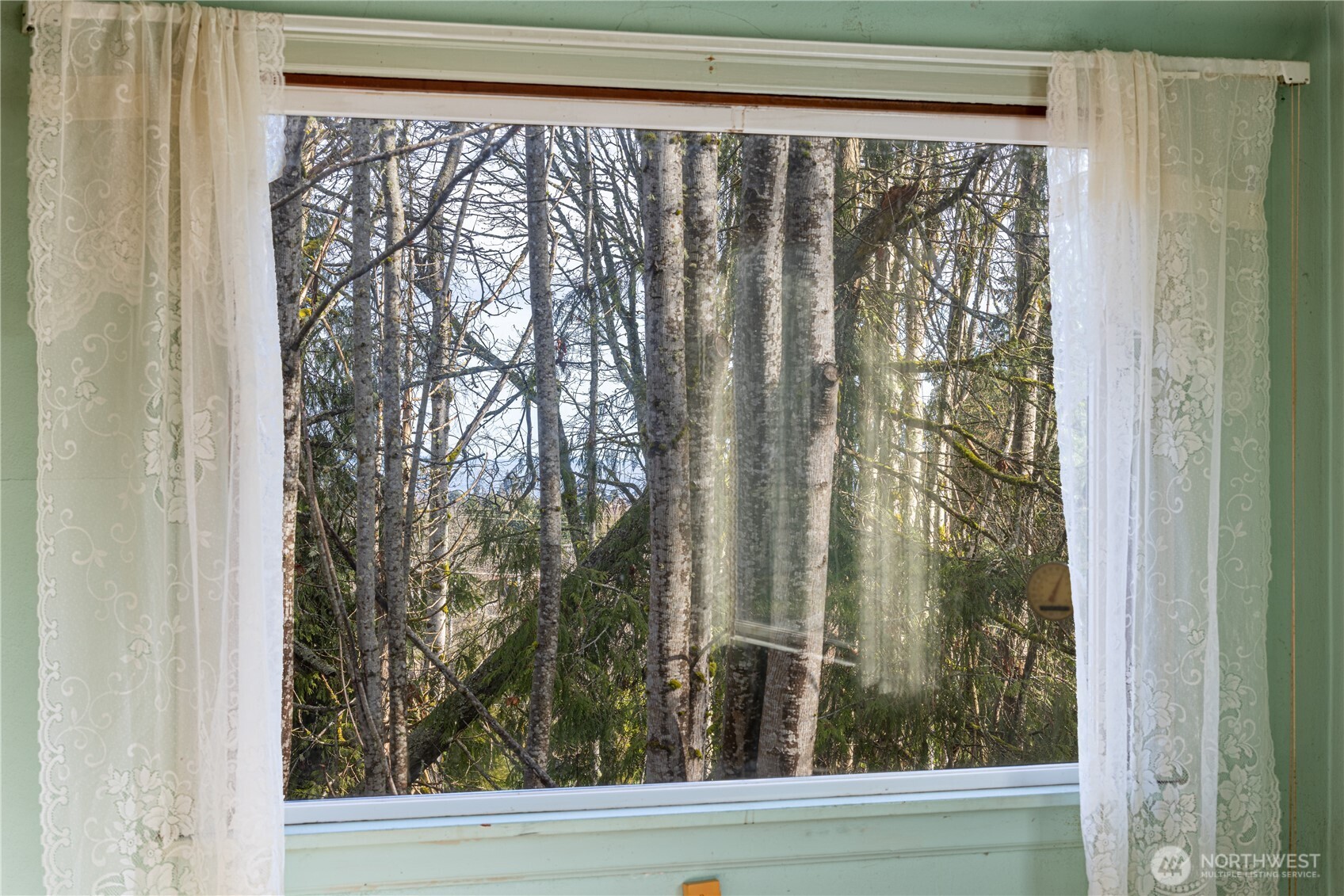 313 Doyle Road Port Angeles, WA 98363 - Photo 15 of 40 Gallery Image 15