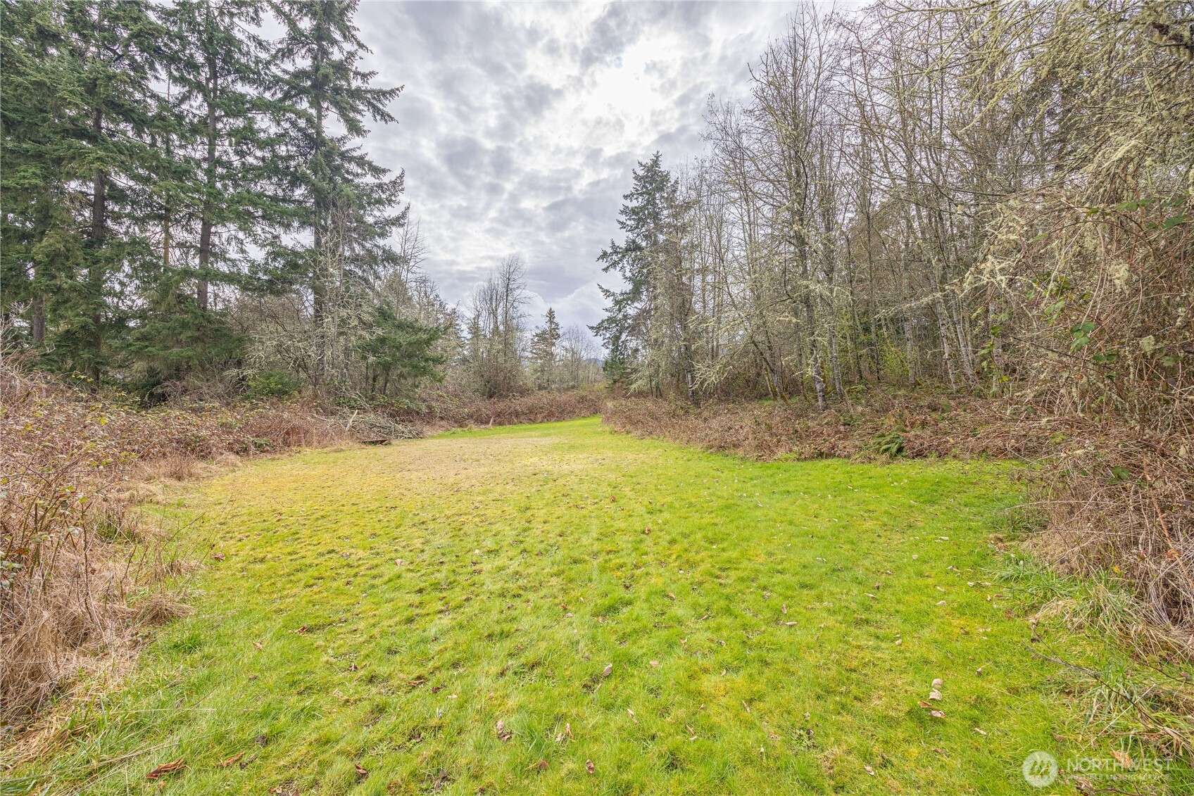 313 Doyle Road Port Angeles, WA 98363 - Photo 34 of 40 Gallery Image 34
