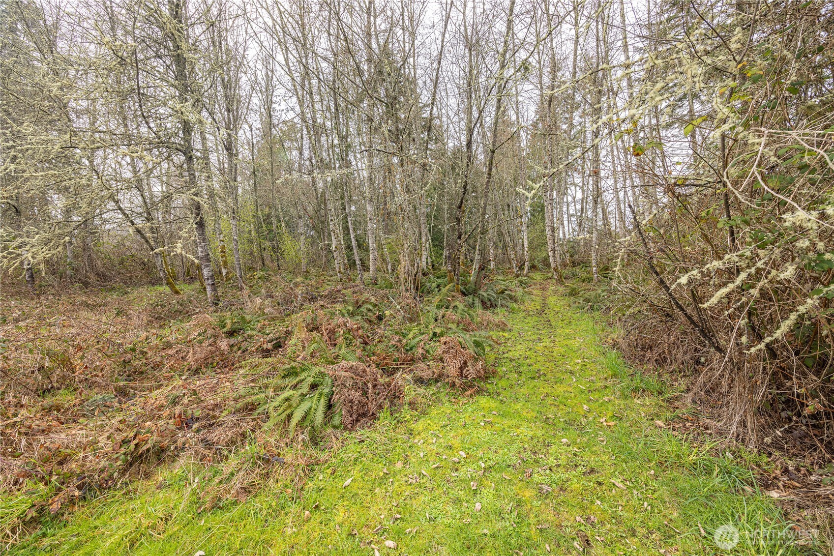 313 Doyle Road Port Angeles, WA 98363 - Photo 35 of 40 Gallery Image 35