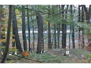 0 Tan Road Pittsfield, NH 03263 - Photo 2 of 2