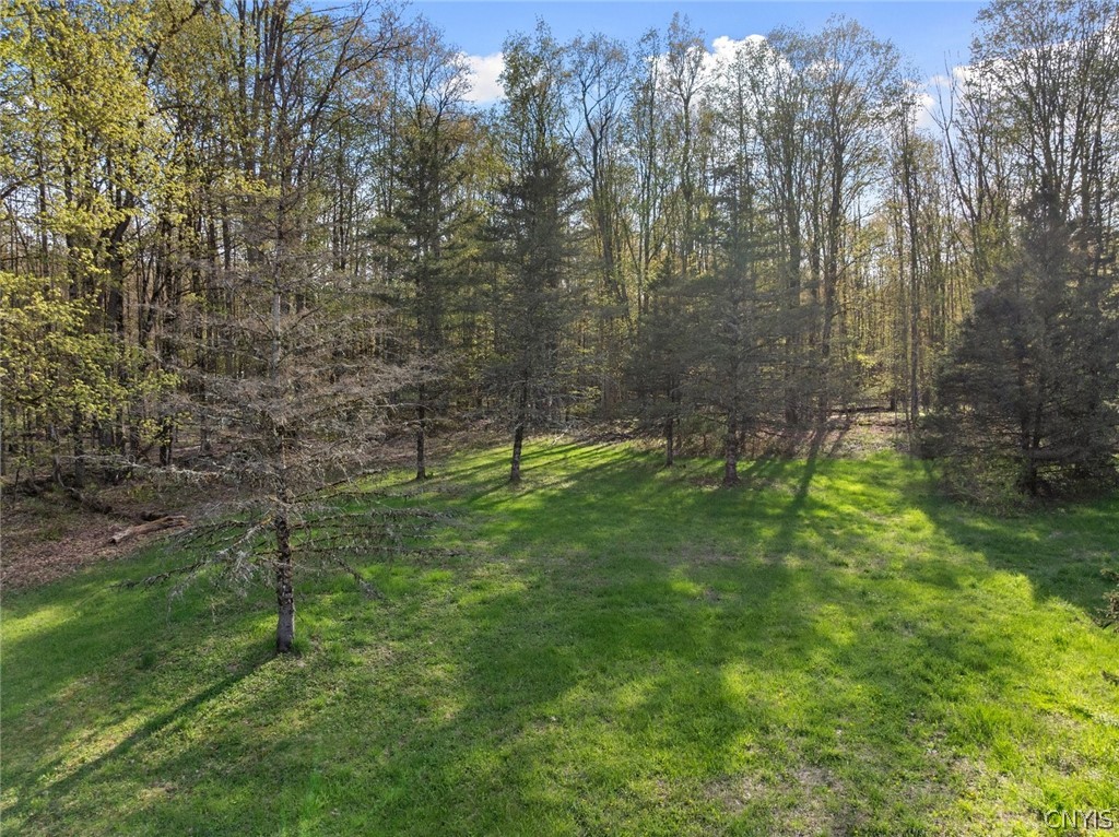 9383 Capron Road Lee, NY 13363 - Photo 44 of 47